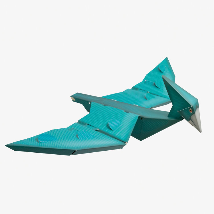 Build a Flying Dinosaur - Image 2